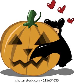 A little bat meets a pumpkin! It's love at first sight!