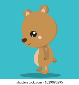 little bear design vector illustration