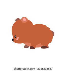 Little bear icon. Cartoon illustration of a funny bear isolated on a white background. Vector 10 EPS. 