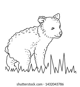 Little Bear on a white background. Sketch. Vector illustration.