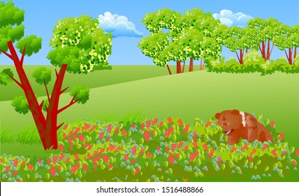 Little bear picks red currant fruits at the edge of the forest. Vector illustration landscape with a cute animal.
