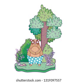 little bear teddy in the landscape