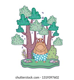 little bear teddy in the landscape