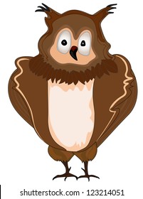 Little beautiful owl isolated