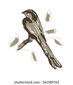 Little Bird