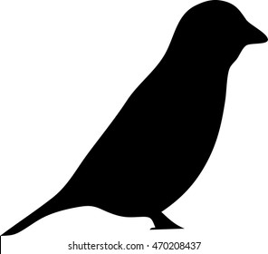 Little bird