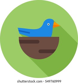 Little Bird