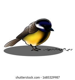 Little bird the blue tit. Vector illustration