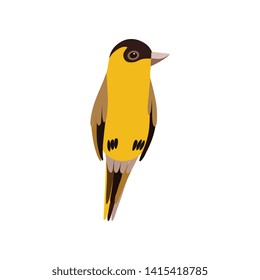 Little Bird, Cute Orange Budgie Home Pet Vector Illustration