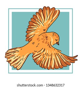 Little bird in flight, vector illustration. Cute sparrow.