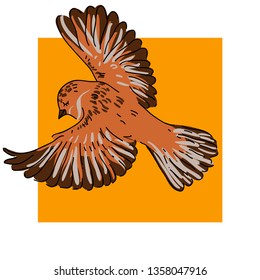 Little bird in flight, vector illustration. Cute sparrow.