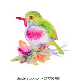Little bird with flowers. Isolated