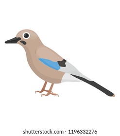 
A little bird having feathers depicting sparrow 
