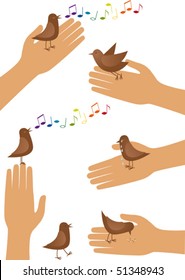 Little bird and human hand in several situations.