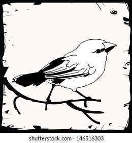 Little bird illustration within black frame 