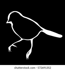 Little bird line drawing. Hand drawn silhouette. Vector illustration isolated.