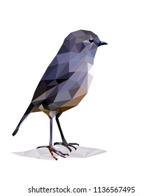 Little bird in Low polygon
