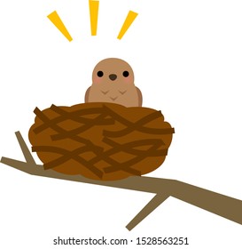 Little bird and a nest on a branch