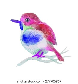 Little bird on branch. Isolated
