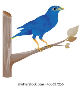 little bird on branch vector design