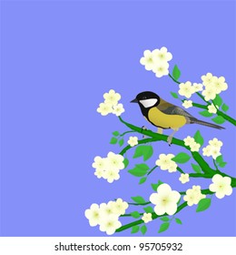 little bird perched on flowering branch