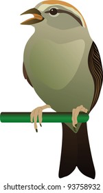 little bird perched on twig