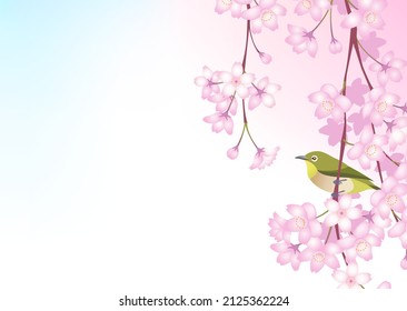 A little bird perching on a branch of a cherry tree on a spring day