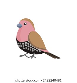 Little bird with pink and black feathers, wings and tail vector illustration