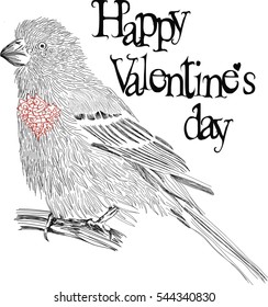 Little bird with  red heart - Valentine's day card -  vector card