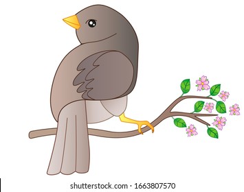 Little bird sits on a flowering spring branch vector illustration. Spring has come - a bird has arrived and is sitting on a flowering tree. Gray bird and a branch with young leaves and pink flowers.