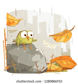 Little Bird Sitting on a Rock in a Rainy Day