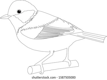 little bird vector drawing eps 10