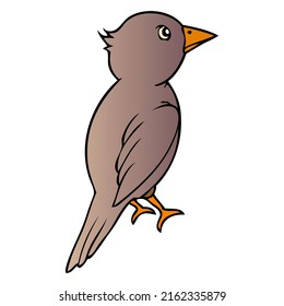 little bird vector illustration,isolated on white background,top view