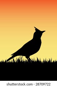 Little bird vector silhouette