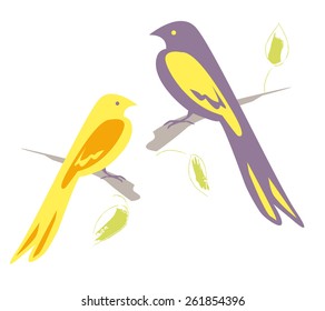 Little birds