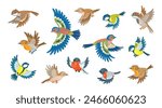 Little birds are flying.  Bullfinch, titmouse, finch, robin, wren and sparrow. In cartoon style. Isolated on white background. Vector flat illustration.