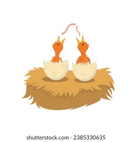 little birds in nest vector isolated