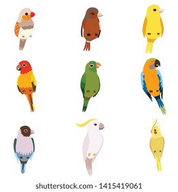 Little Birds Set, Amadin, Sparrow, Canary, Parrot, Cockatoo, Cute Home Pets Vector Illustration