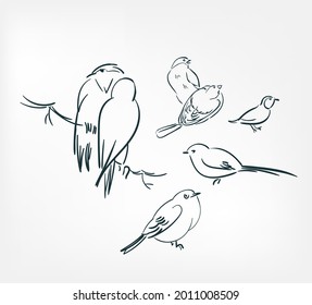little birds set vector illustration japanese chinese ink line sketch