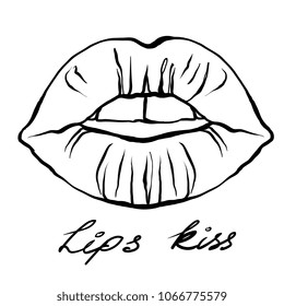 A little bit open lips  with teeth and  tongue. ink hand drawn mouth on white
 background. vector isolated part of face.