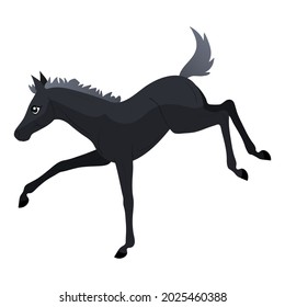 The little black pony kicks. Horses icons flat style. Vector isolated illustration.
