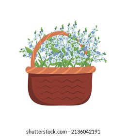 Little blue flowers forget me not with stems and leaves in basket. Bouquet of flowering field plants. Romantic decoration for wedding and design. Vector flat illustration