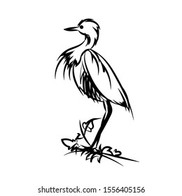 Little Blue Heron. Line Drawing. Vector.