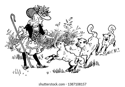 Little Bo Peep, this picture shows a little girl with hat holding stick and three sheep near her, vintage line drawing or engraving illustration