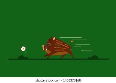 little boar forest run nature 