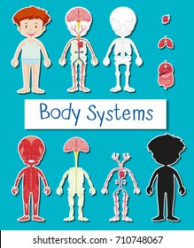 Little boy and body system poster illustration