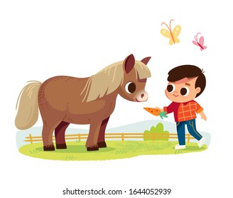 Little boy feed the pony. Kid with animal.