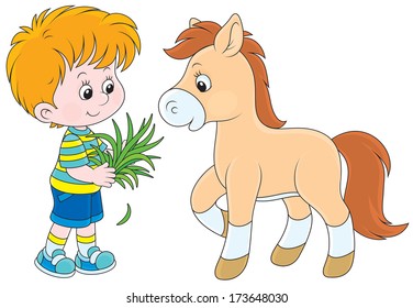 Little boy feeding a pony with grass