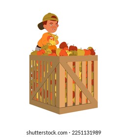 Little Boy Harvesting Gathering Ripe Apple Fruits in Huge Wooden Crate in the Garden Vector Illustration