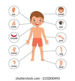 cartel de ilustraciones de niños con partes del cuerpo humano con un diagrama de etiquetas de texto para fines educativos